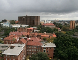 royal-north-shore-hospital